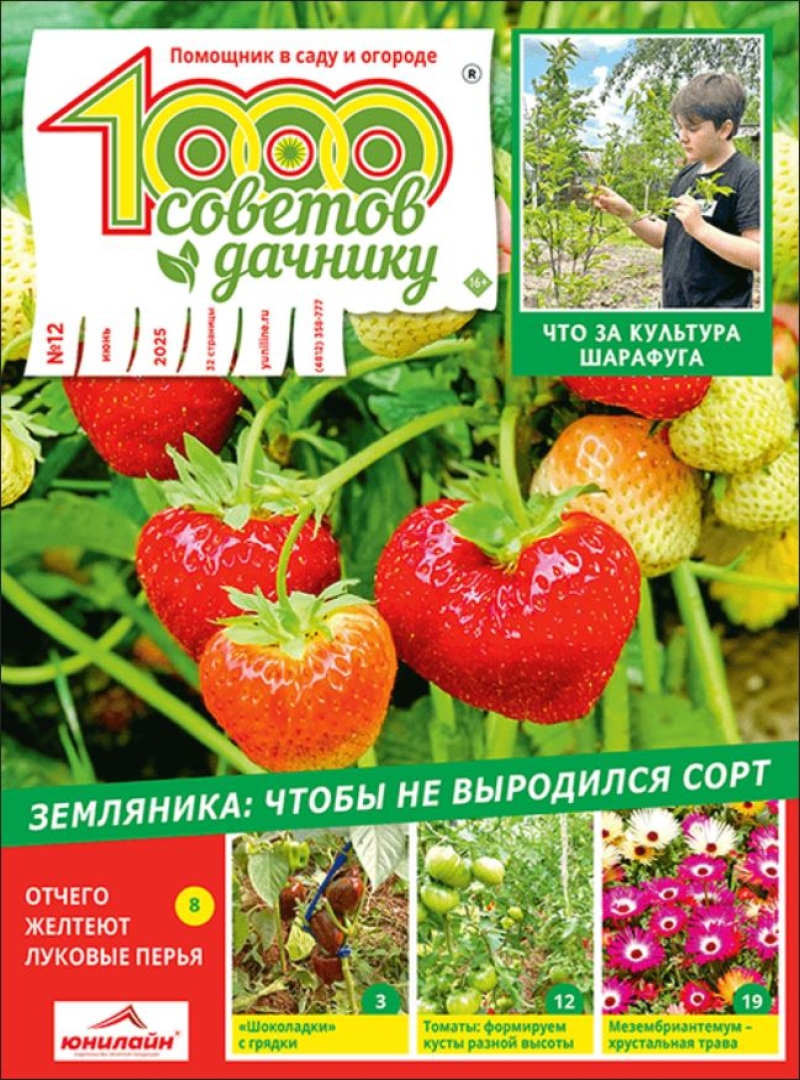 1000 sovetov dachniku