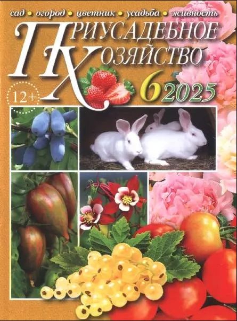 Priusadebnoe hozyajstvo